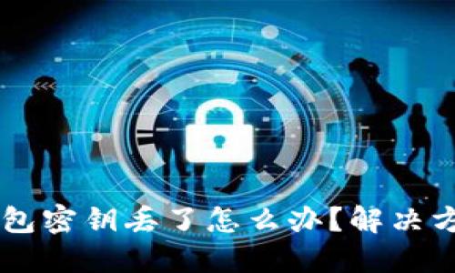 :  tokenim钱包密钥丢了怎么办？解决方案与预防措施