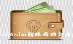  如何解决Tokenim转账成功但