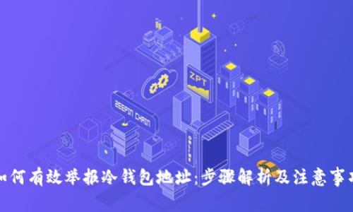如何有效举报冷钱包地址：步骤解析及注意事项