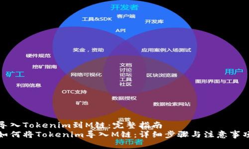 导入Tokenim到M链：完整指南
如何将Tokenim导入M链：详细步骤与注意事项