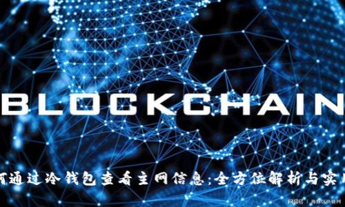 : 如何通过冷钱包查看主网信息：全方位解析与实用指南
