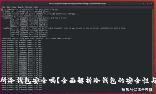 交易所冷钱包安全吗？全面解析冷钱包的安全性与风险
