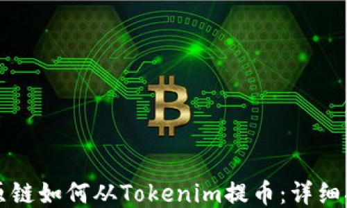
比原链如何从Tokenim提币：详细指南