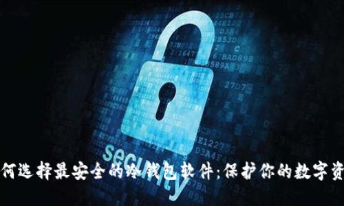 如何选择最安全的冷钱包软件：保护你的数字资产
