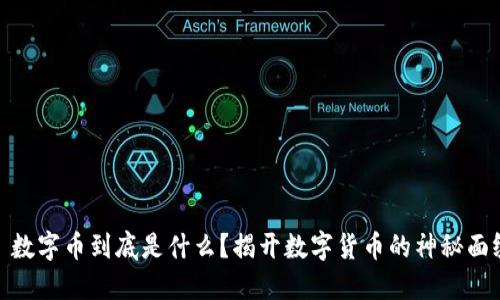 : 数字币到底是什么？揭开数字货币的神秘面纱