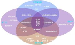 “冷钱包能过海关吗”的