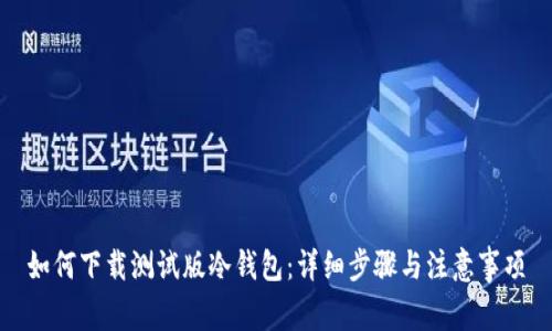 如何下载测试版冷钱包：详细步骤与注意事项