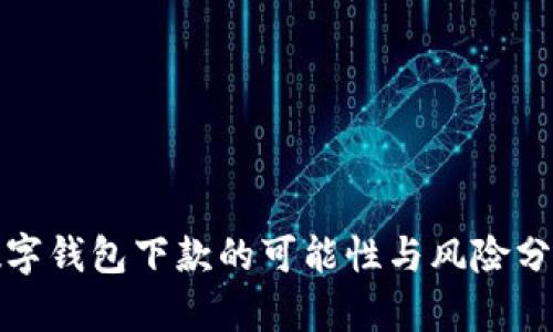 数字钱包下款的可能性与风险分析