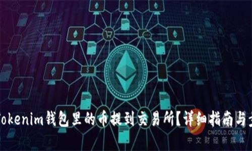 如何将Tokenim钱包里的币提到交易所？详细指南与步骤解析