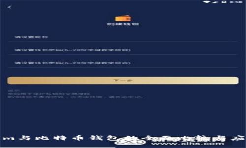 Tokenim与比特币钱包的全面比较与应用指南