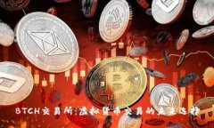 BTCH交易所：虚拟货币交易的未来选择