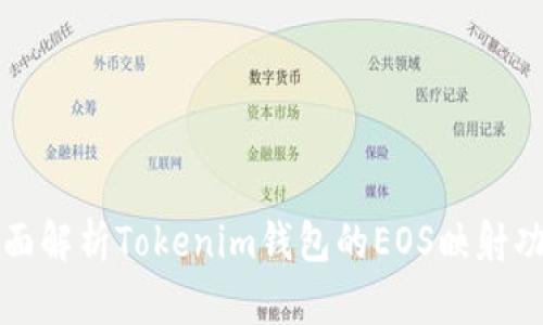 全面解析Tokenim钱包的EOS映射功能
