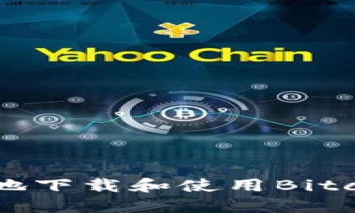 如何安全高效地下载和使用Bitc软件：全面指南