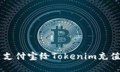  如何使用支付宝给Tokenim充值：详尽指南