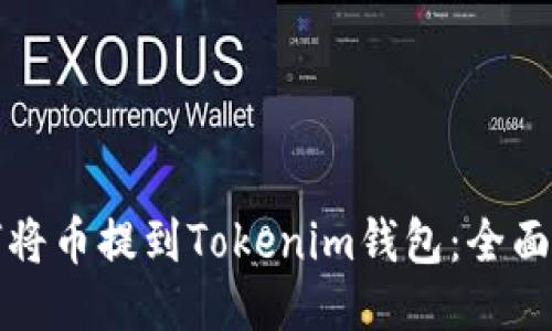 如何将币提到Tokenim钱包：全面指南